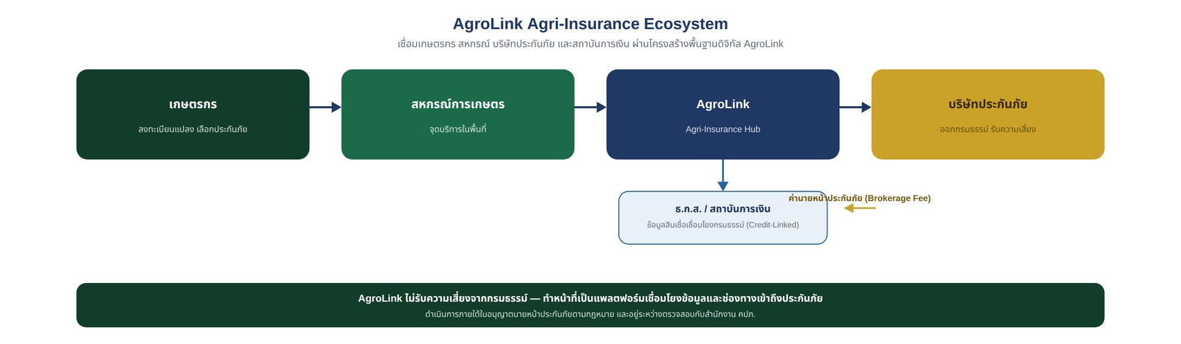 อินโฟกราฟิก AgroLink Agri-Insurance Ecosystem แสดงการเชื่อมโยงเกษตรกร สหกรณ์การเกษตร AgroLink Agri-Insurance Hub และบริษัทประกันภัย พร้อมความเชื่อมโยงกับธ.ก.ส./สถาบันการเงินด้านสินเชื่อ และเส้นทางค่านายหน้าประกันภัยจากบริษัทประกันภัยกลับมายัง AgroLink