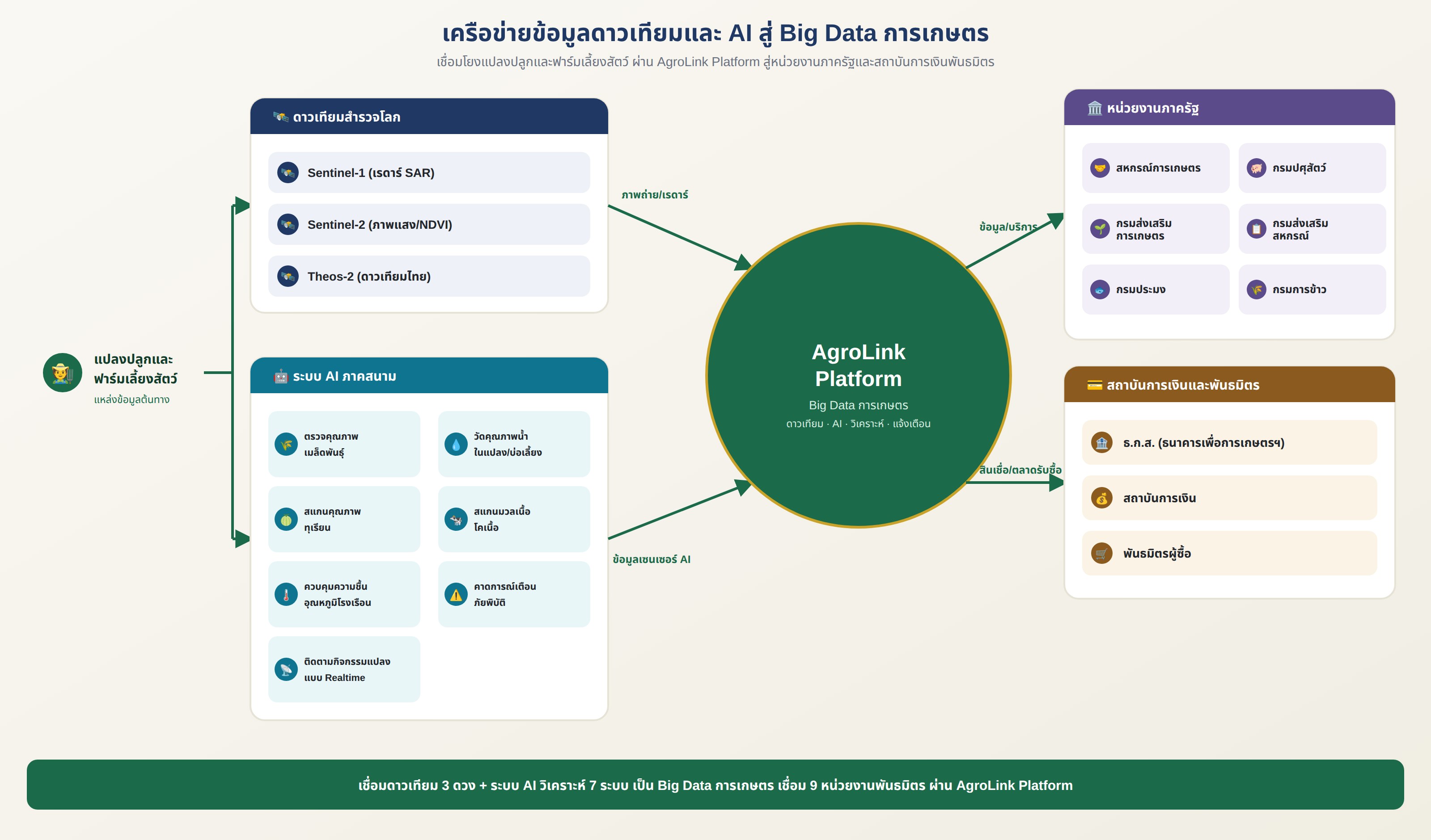 อินโฟกราฟิกเครือข่ายข้อมูลดาวเทียมและ AI สู่ Big Data การเกษตร แสดงข้อมูลจากดาวเทียมสำรวจโลก (Sentinel-1, Sentinel-2, Theos-2) และระบบ AI ภาคสนาม 7 ระบบ (ตรวจคุณภาพเมล็ดพันธุ์ข้าว/ข้าวโพด/มันสำปะหลัง วัดคุณภาพน้ำ สแกนคุณภาพทุเรียน สแกนมวลเนื้อโคเนื้อ ควบคุมความชื้น/อุณหภูมิโรงเรือน คาดการณ์เตือนภัยพิบัติ และติดตามกิจกรรมแปลงปลูกแบบ Realtime) จากแปลงปลูกและฟาร์มเลี้ยงสัตว์ รวมเป็น Big Data การเกษตร ผ่าน AgroLink Platform เชื่อมโยงไปยังหน่วยงานภาครัฐ (สหกรณ์การเกษตร กรมปศุสัตว์ กรมส่งเสริมการเกษตร กรมส่งเสริมสหกรณ์ กรมประมง กรมการข้าว) และสถาบันการเงิน/พันธมิตร (ธ.ก.ส. สถาบันการเงิน พันธมิตรผู้ซื้อ) รวม 9 หน่วยงาน