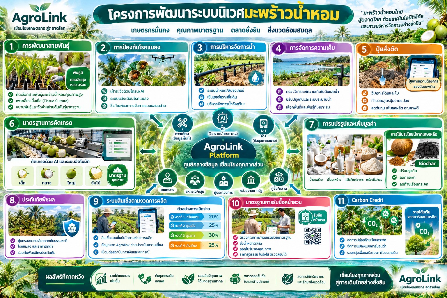 อินโฟกราฟิกโครงการพัฒนาระบบนิเวศมะพร้าวน้ำหอม