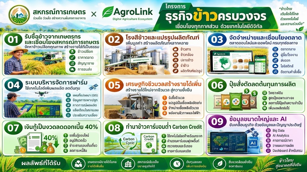 อินโฟกราฟิกโครงการธุรกิจข้าวครบวงจร AgroLink x สหกรณ์การเกษตร แสดง 9 ระบบงานหลักที่เชื่อมโยงทุกภาคส่วนด้วยเทคโนโลยีดิจิทัล
