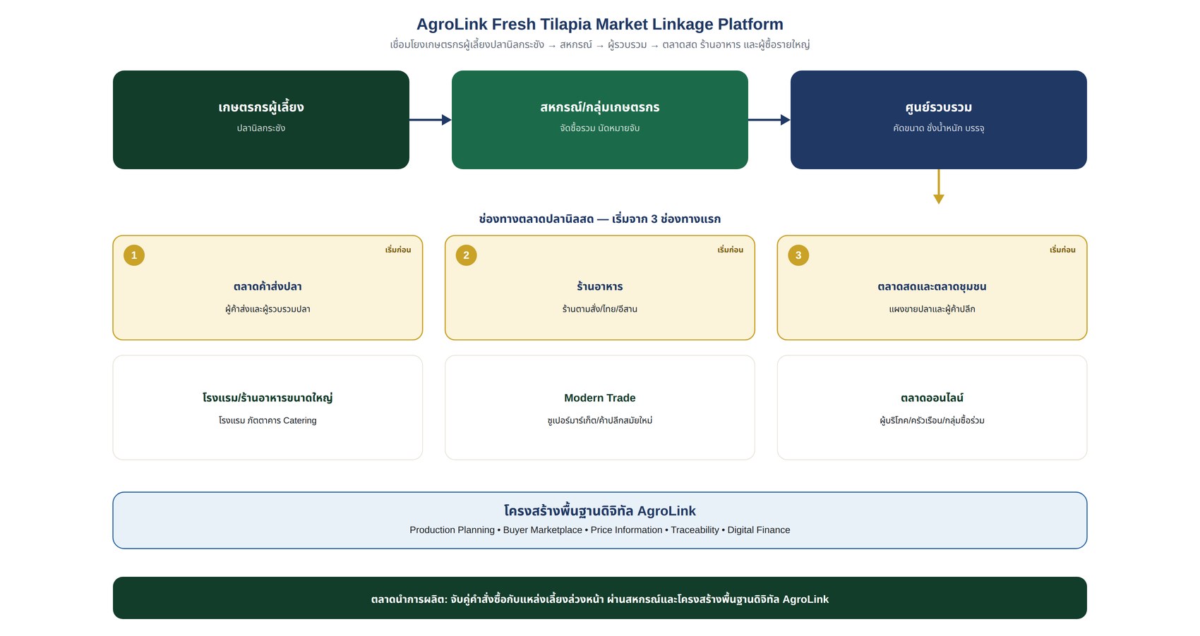 AgroLink Fresh Tilapia Market Linkage Platform เชื่อมโยงเกษตรกรผู้เลี้ยงปลานิลกระชัง สหกรณ์ ผู้รวบรวม และ 6 ช่องทางตลาดปลานิลสด เชื่อมด้วยโครงสร้างพื้นฐานดิจิทัล AgroLink